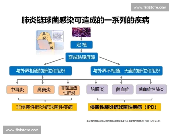 以伤病预防为核心的运动健康管理策略与实施路径分析